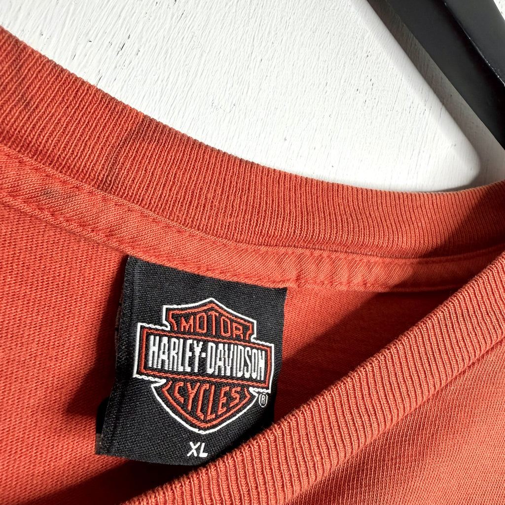 Harley Davidson 'Twin Cities, MN' - 2005 - XL