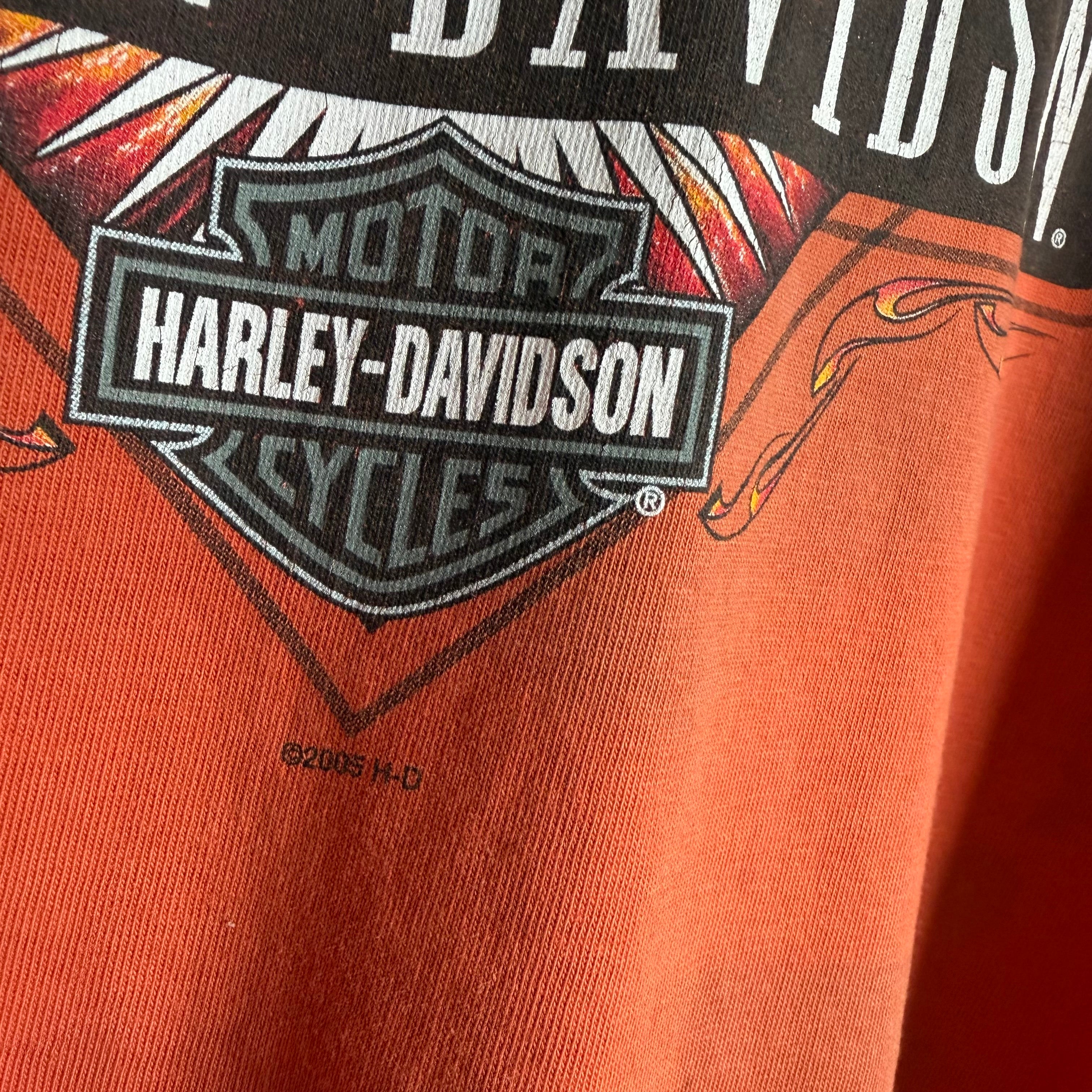 Harley Davidson 'Twin Cities, MN' - 2005 - XL