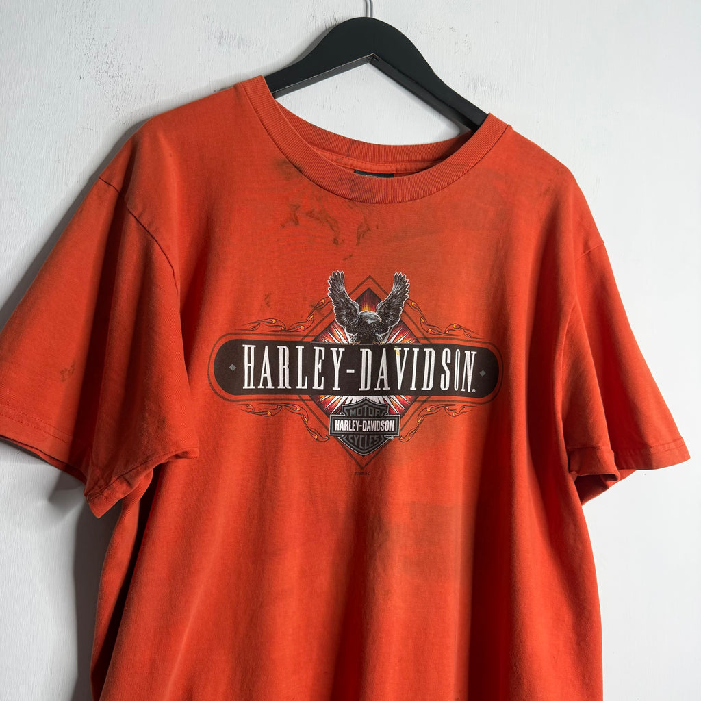Harley Davidson 'Twin Cities, MN' - 2005 - XL